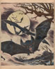 Issue 3
