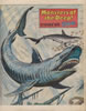 Issue 13