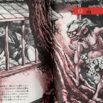 Yamasei (mountain sprite), Illustrated Book of Japanese Monsters, 1972